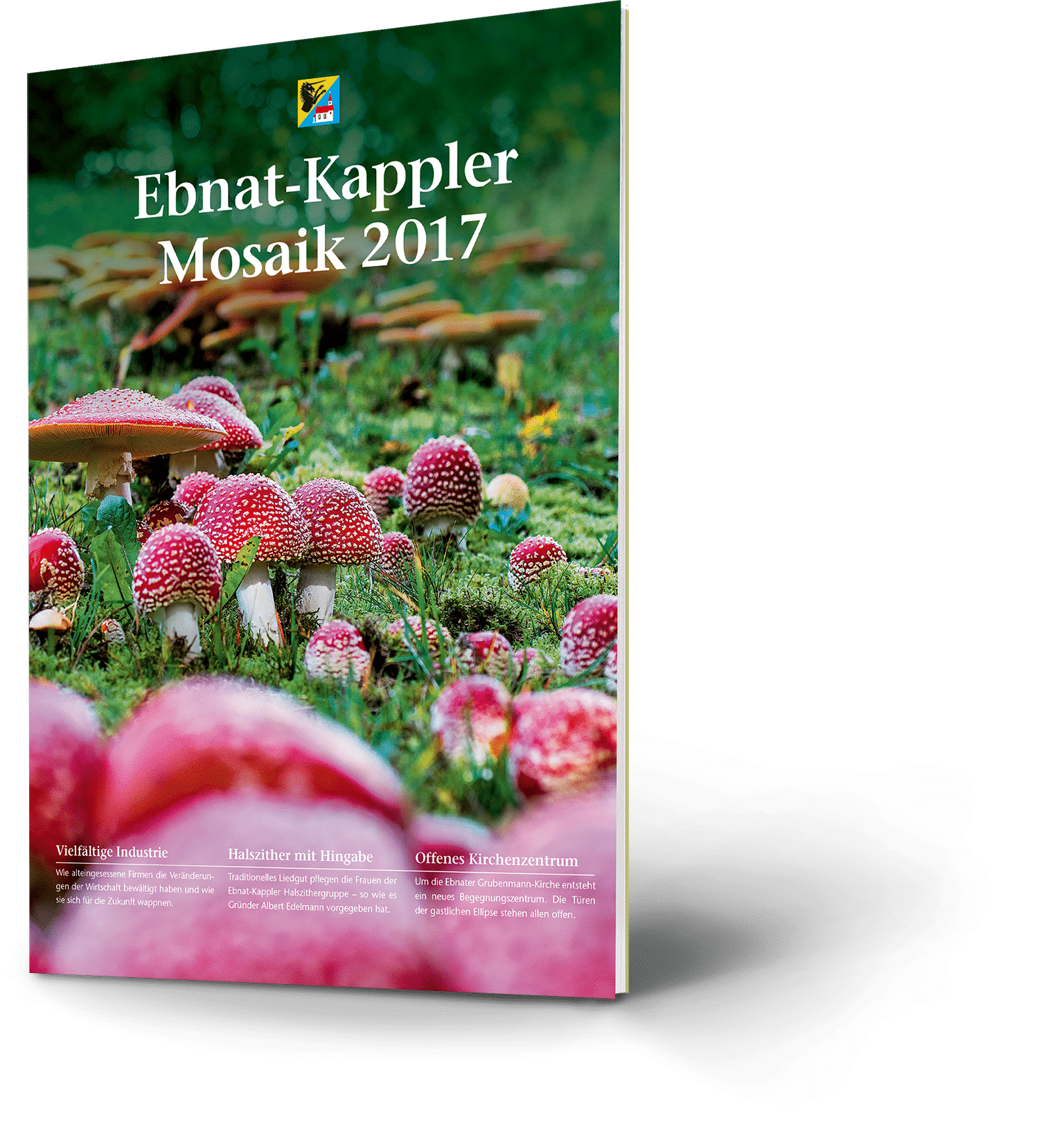 Ebnat-Kappler Mosaik 2017