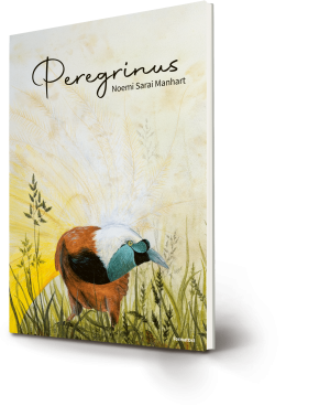 Peregrinus