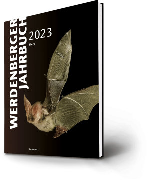 Werdenberger Jahrbuch 2023